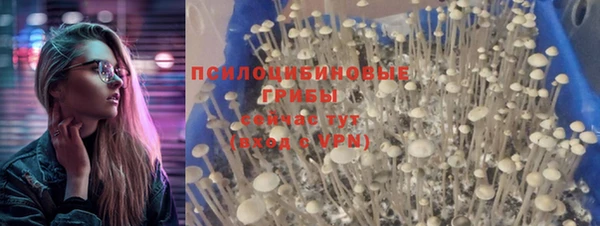 альфа пвп Бородино