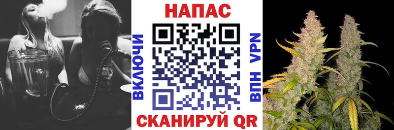 Купить закладки  Кущёвская  Бошки марихуана сатива 